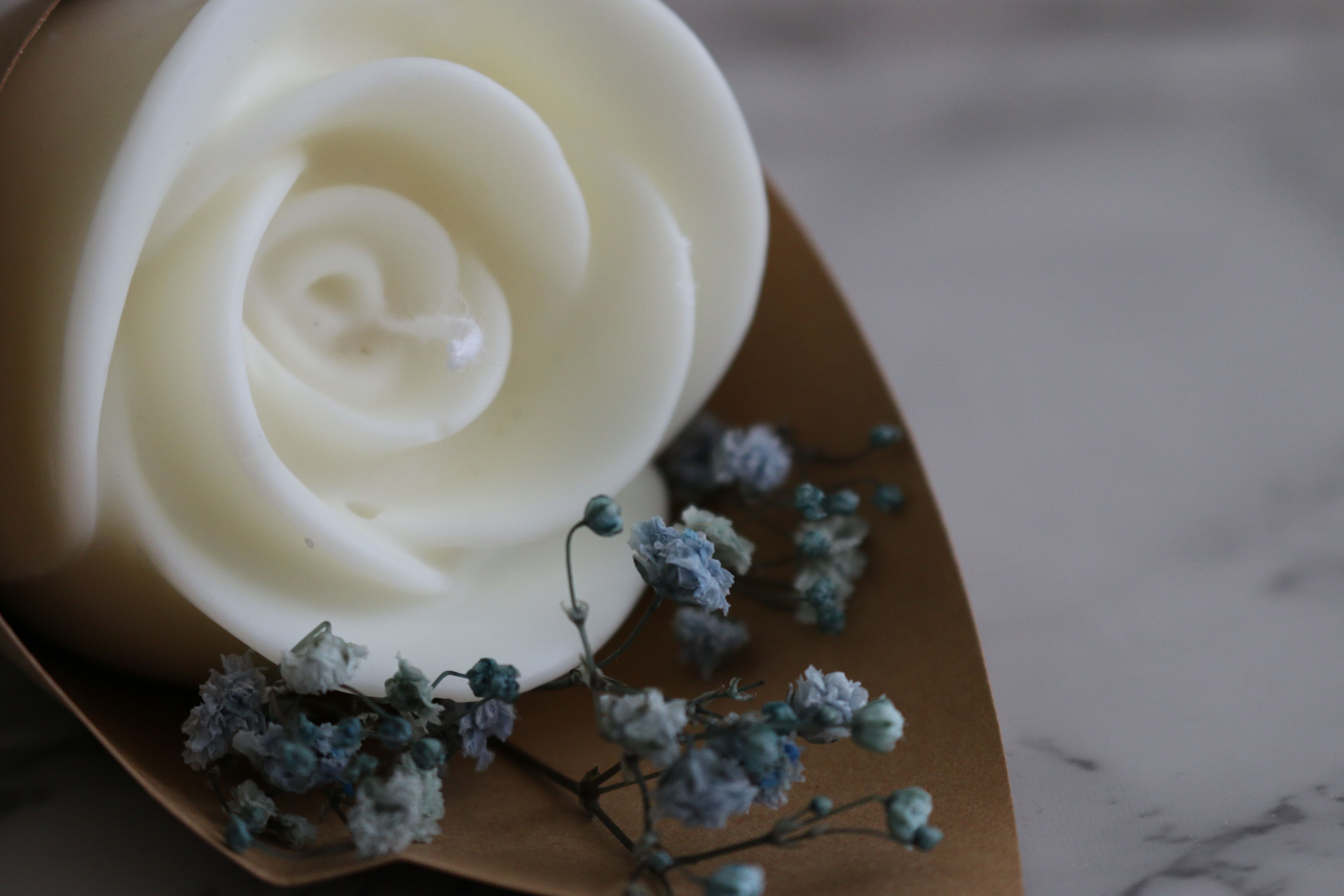 rosa san jorge velate vela regalo soja (3)